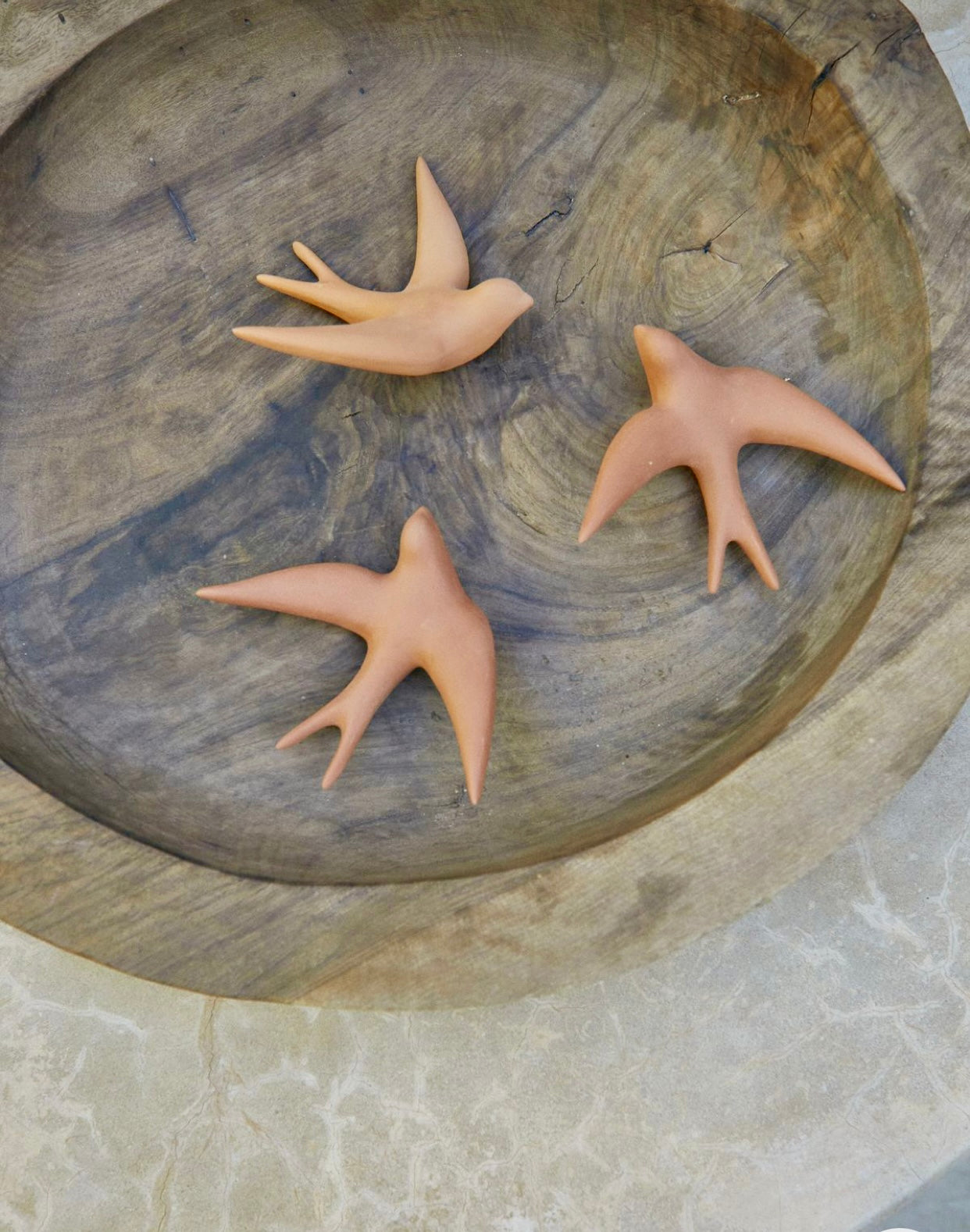 Hirondelle Terracotta MONOCHROMIC