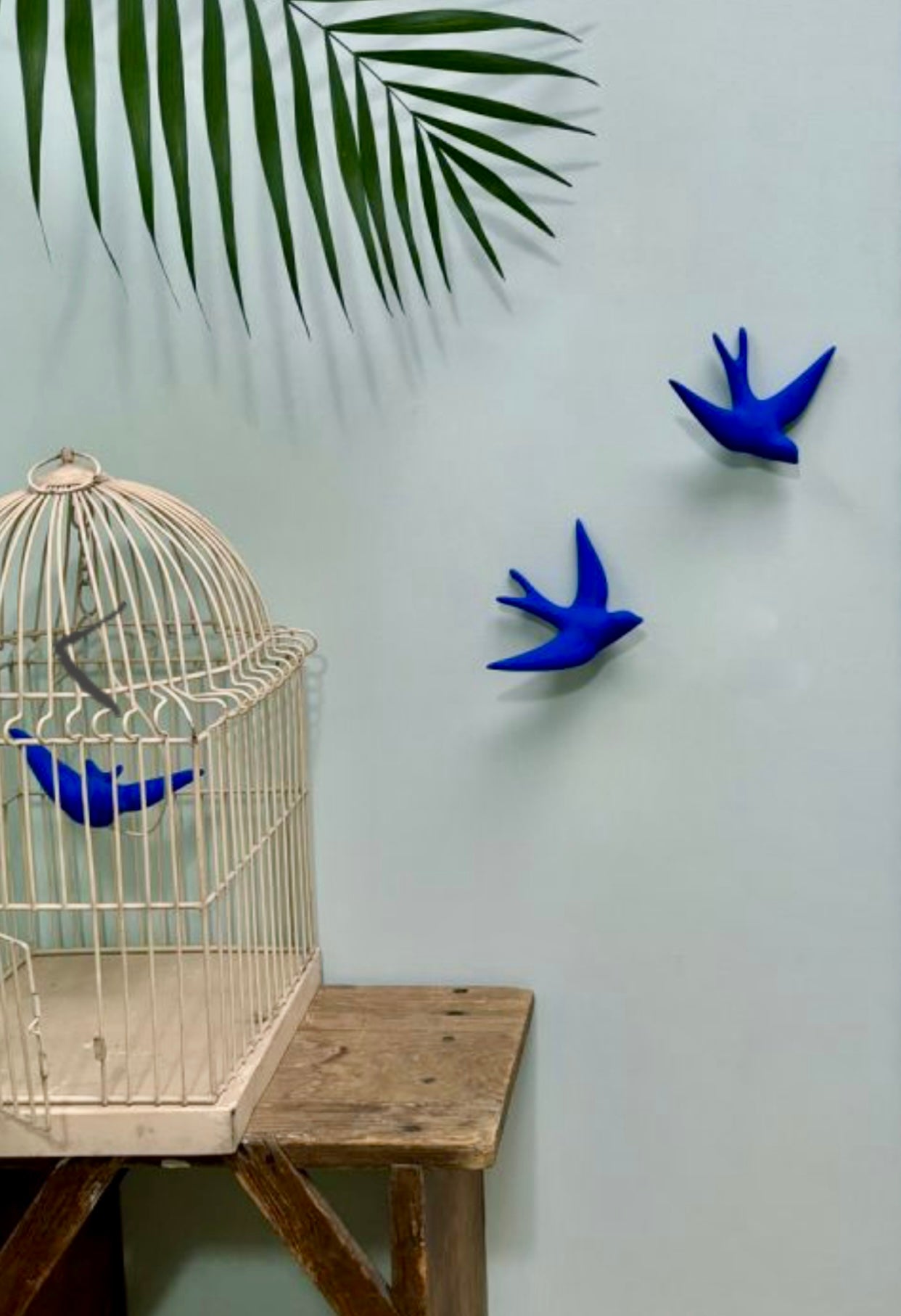 Hirondelle outremer MONOCHROMIC