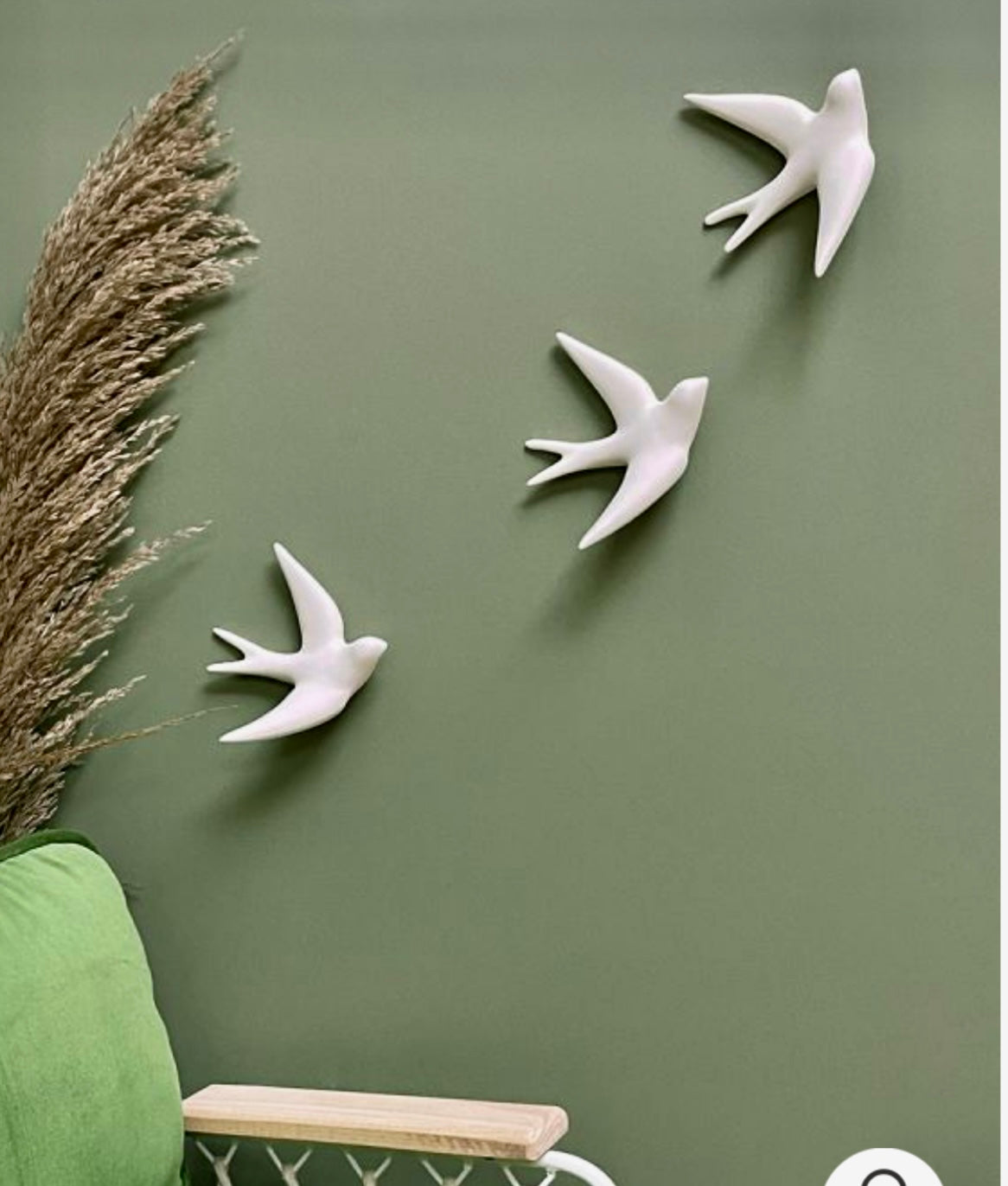 Hirondelle blanc MONOCHROMIC