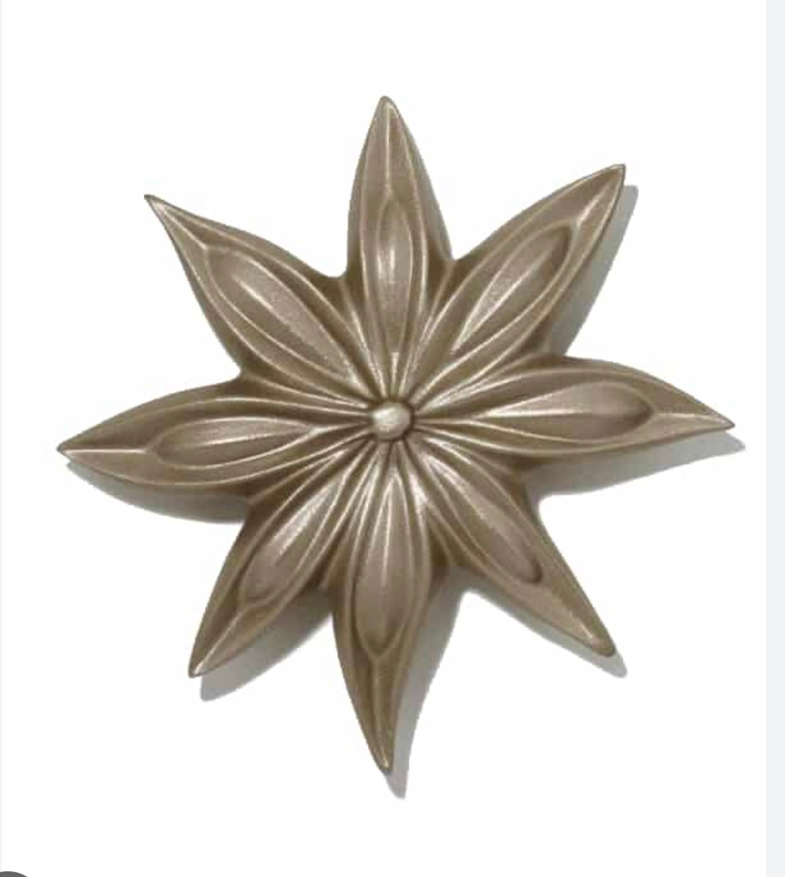 Fleur d’Anis BADIANE (3coloris) Monochromic