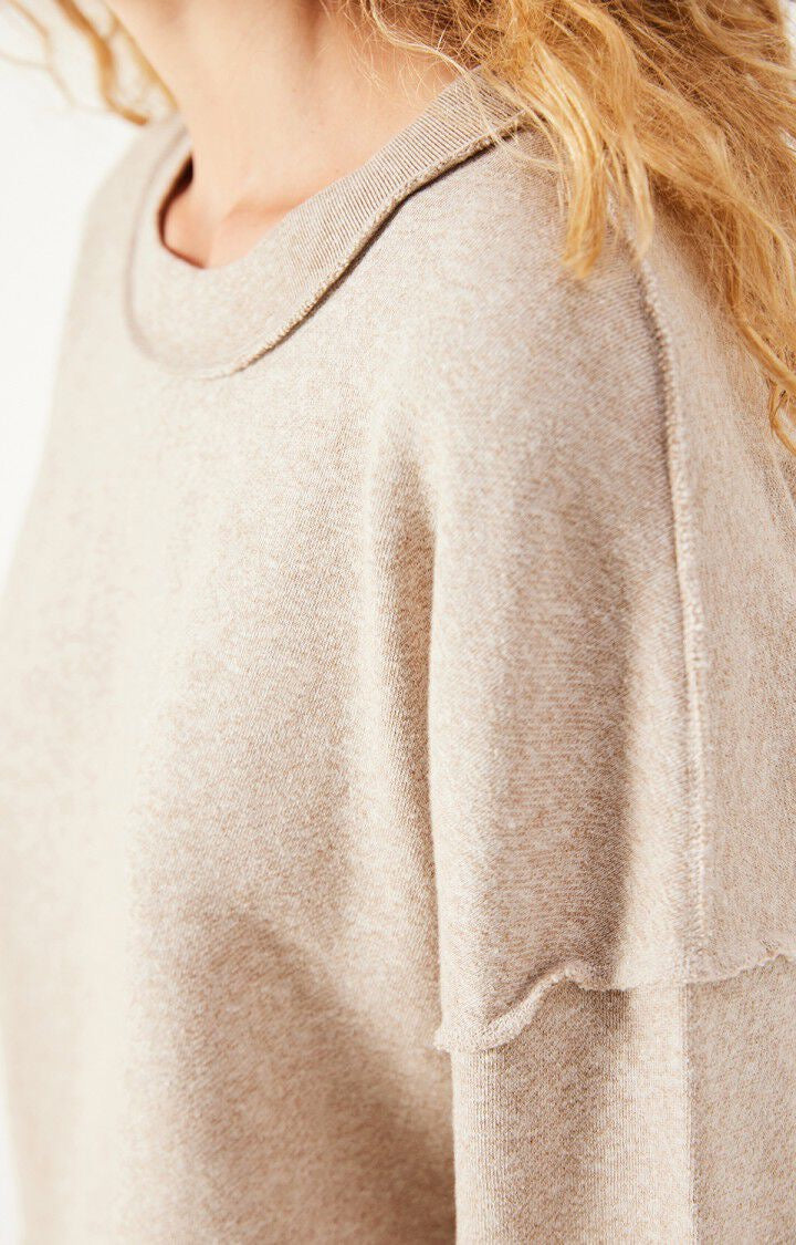 SWEAT DANTOWN American Vintage